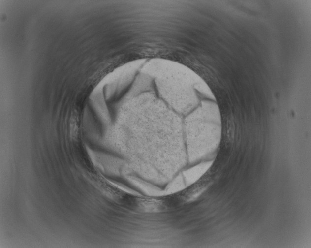 X0000081430226200702092208