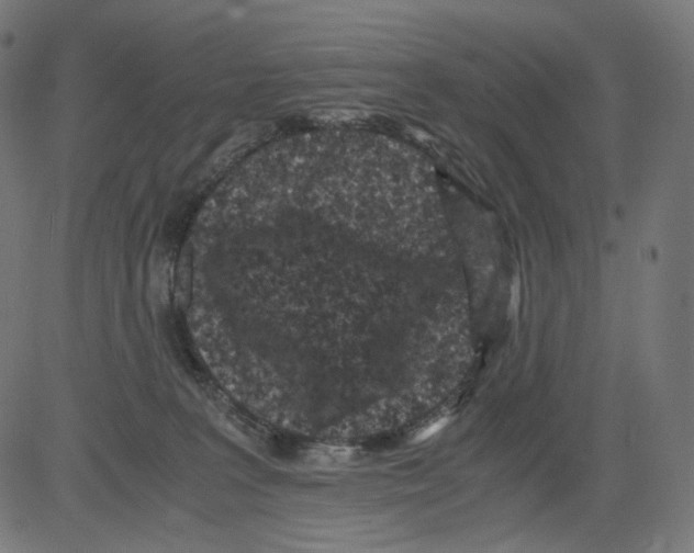 X0000081430227200702092208