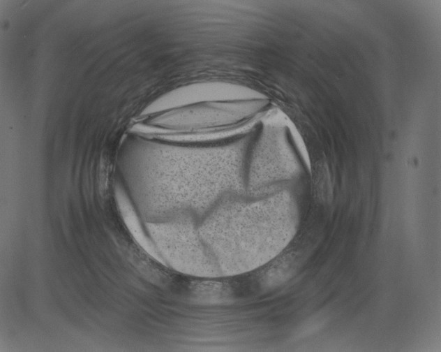 X0000081430230200702092207