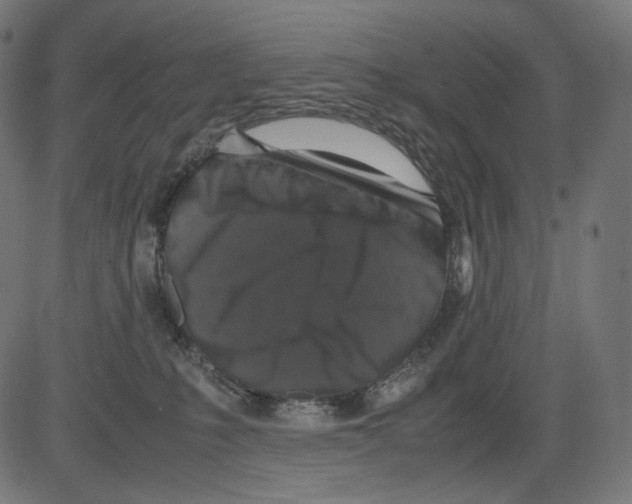 X0000081430231200702092207