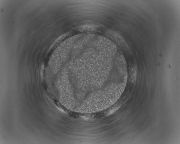 X0000081430232200702092207