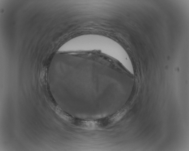 X0000081430233200702092207