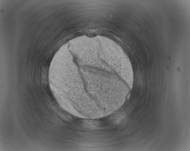 X0000081430234200702092207