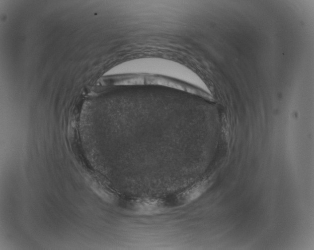 X0000081430235200702092207