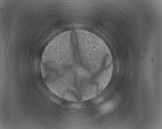 X0000081430236200702092207