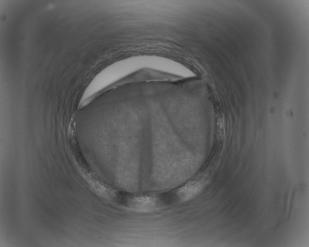 X0000081430237200702092207