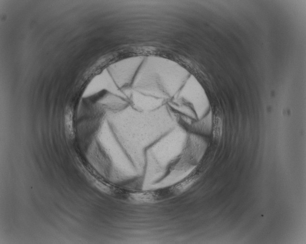 X0000081430238200702092207