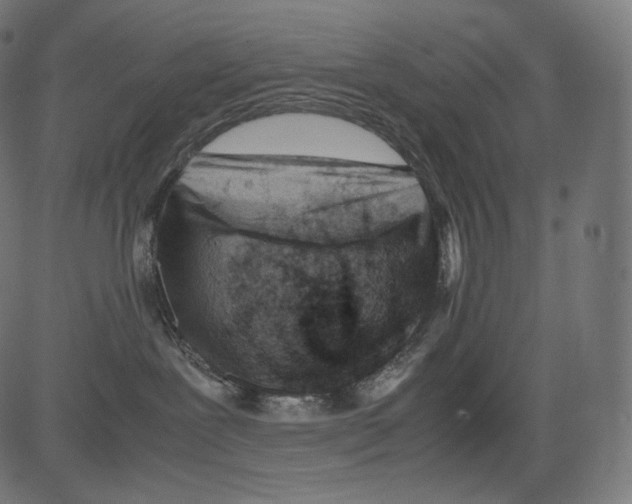 X0000081430239200702092207