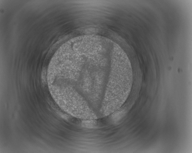 X0000081430240200702092207