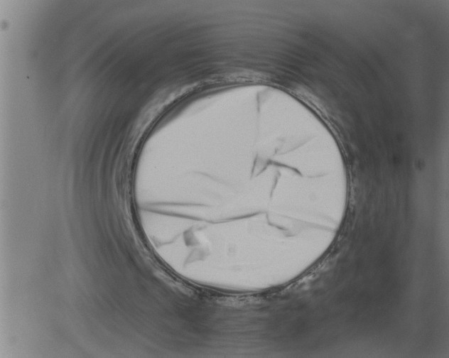 X0000081430241200702092207