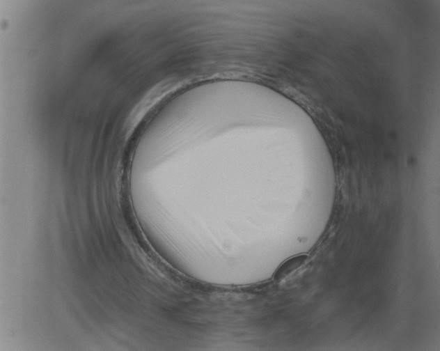 X0000081430242200702092207