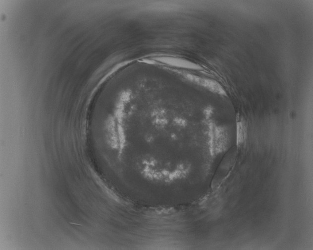 X0000081430243200702092207