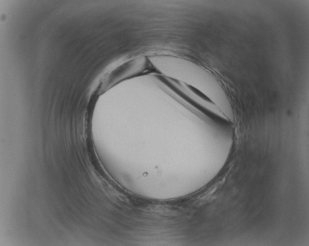 X0000081430244200702092207