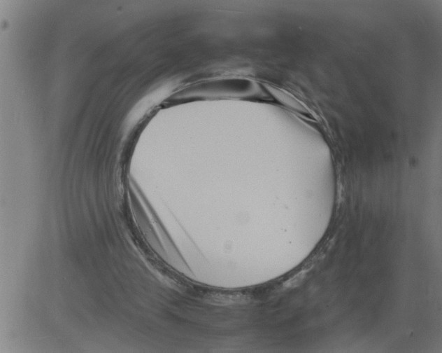 X0000081430245200702092207