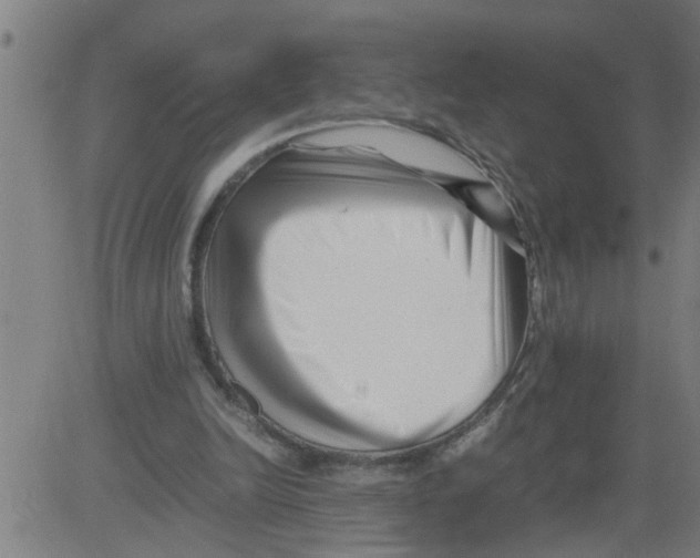 X0000081430246200702092207