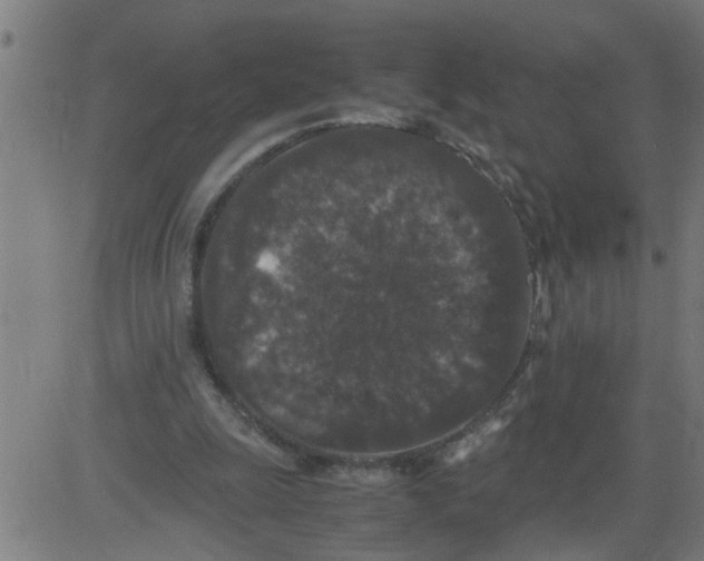 X0000081430247200702092207