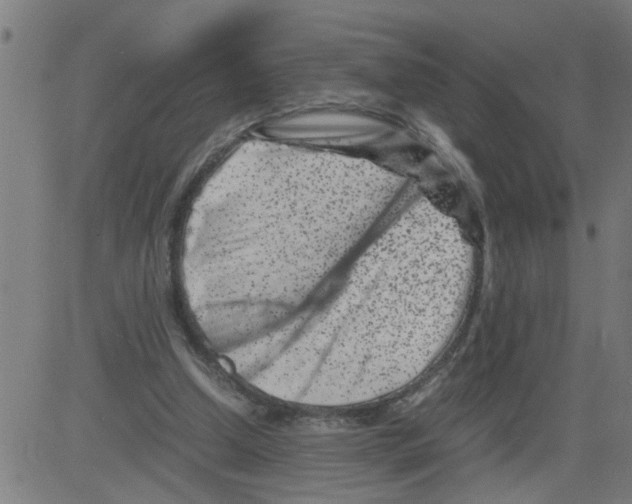 X0000081430250200702092207