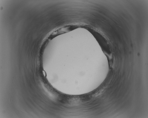 X0000081430252200702092207