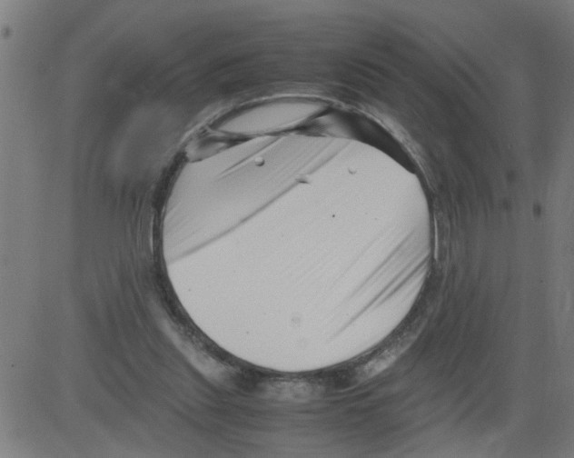 X0000081430253200702092207