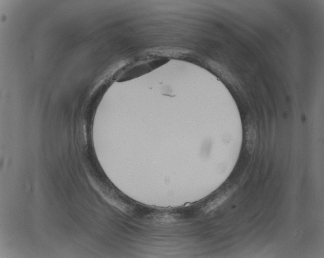 X0000081430254200702092207