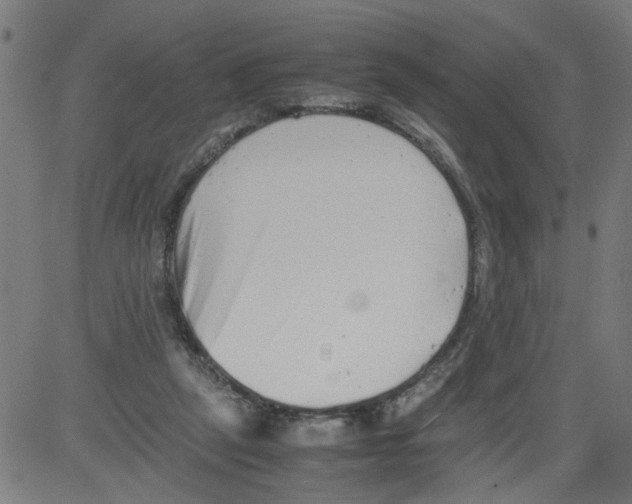 X0000081430257200702092207