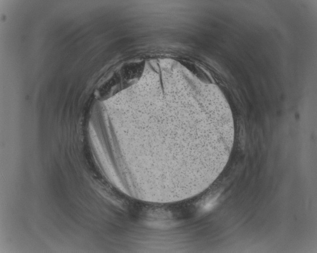 X0000081430258200702092207