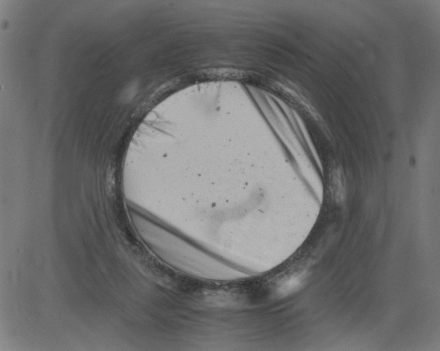 X0000081430259200702092207