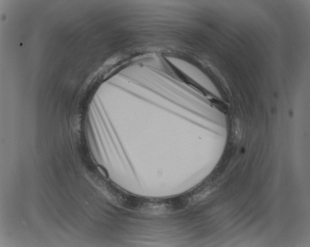 X0000081430260200702092207