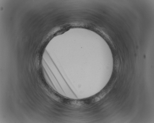 X0000081430261200702092207