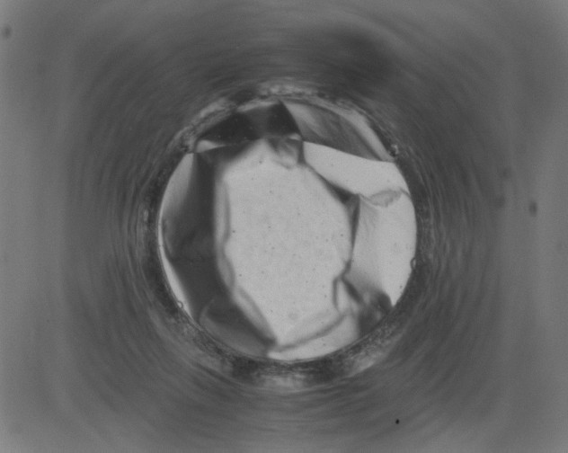 X0000081430263200702092207