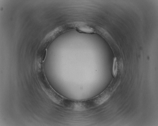 X0000081430264200702092207