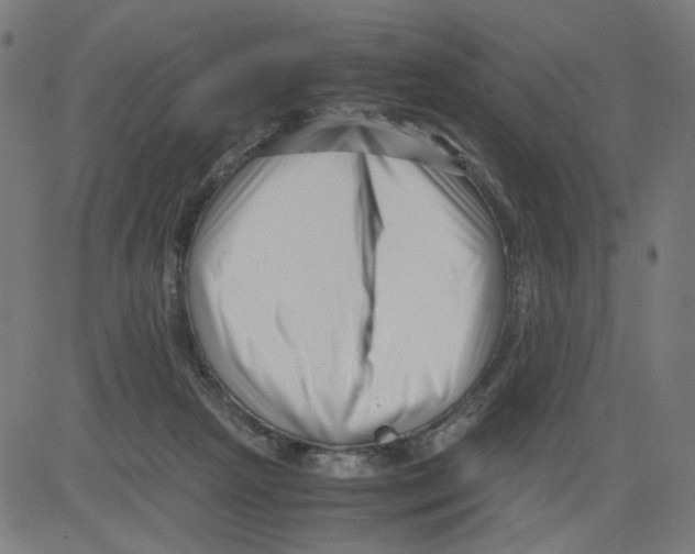 X0000081430265200702092207