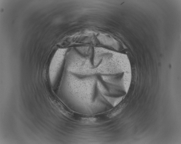 X0000081430266200702092207