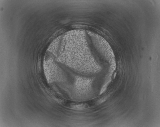 X0000081430267200702092207