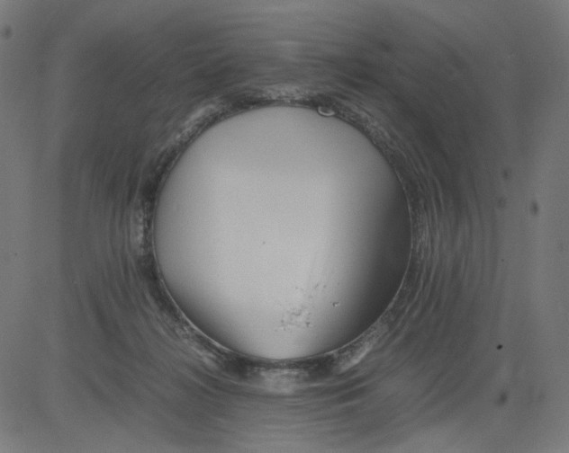 X0000081430268200702092207