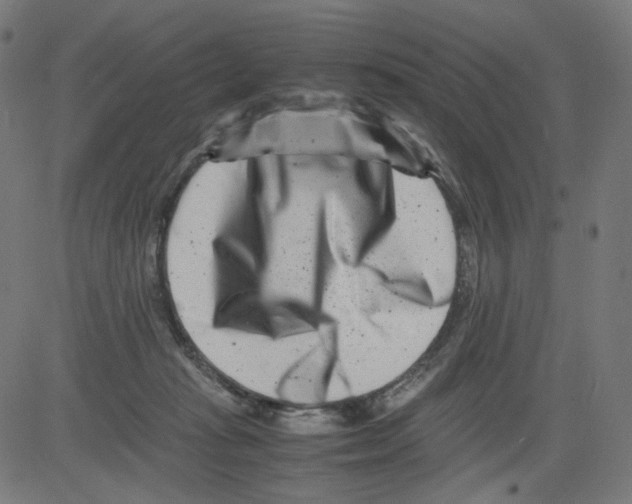 X0000081430269200702092207