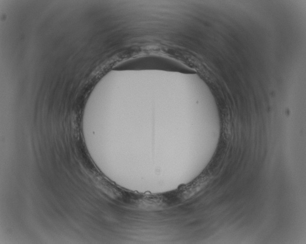 X0000081430270200702092207