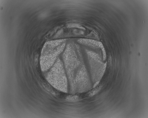 X0000081430271200702092207