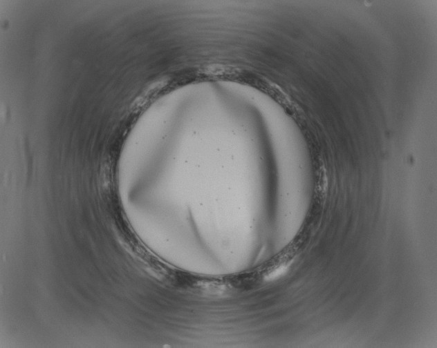 X0000081430272200702092207