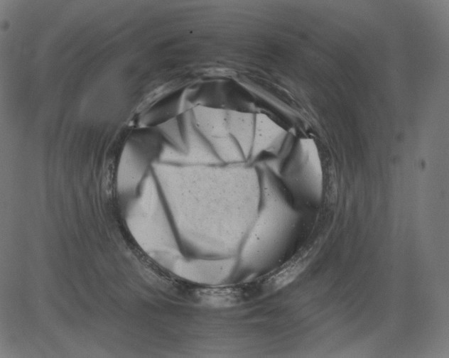 X0000081430273200702092207