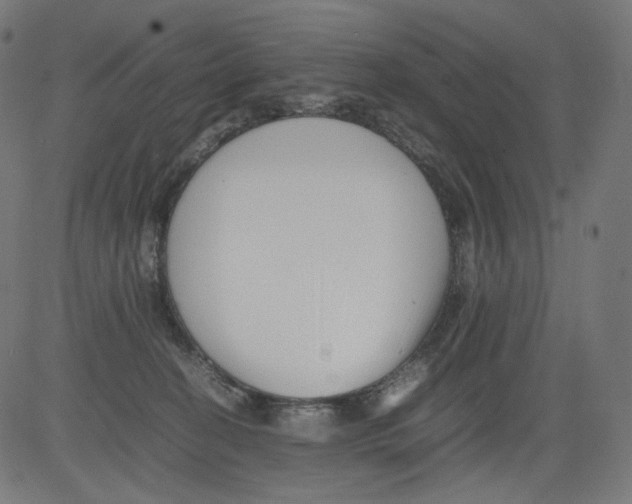 X0000081430274200702092207