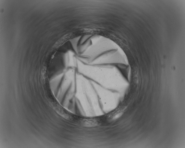 X0000081430275200702092207