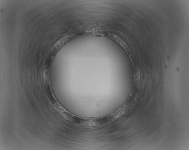 X0000081430276200702092207