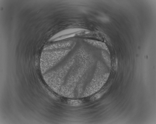 X0000081430277200702092207