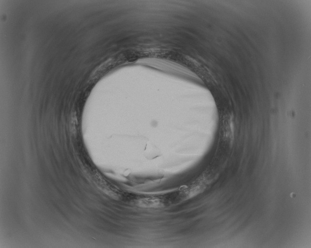 X0000081430279200702092207