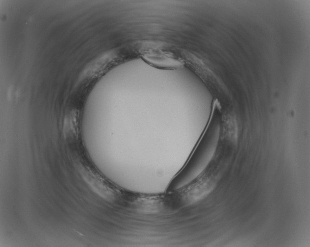 X0000081430280200702092207