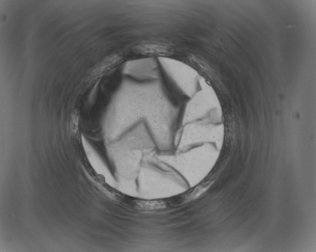 X0000081430281200702092207