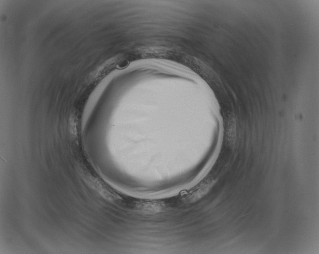 X0000081430282200702092207