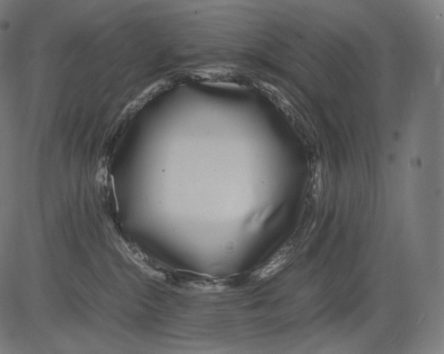 X0000081430284200702092207