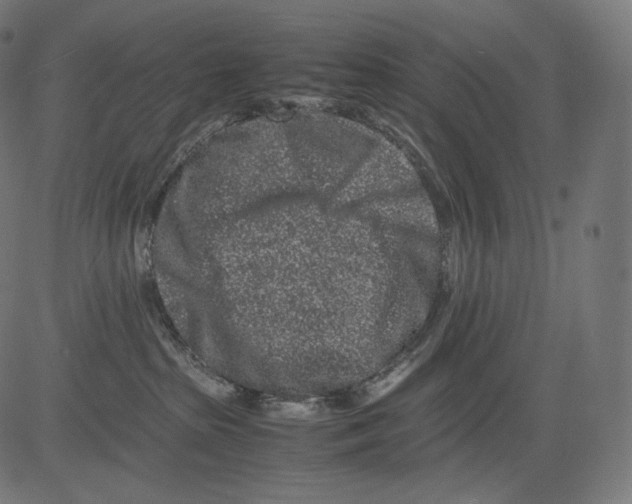 X0000081430285200702092207